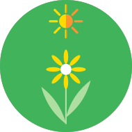 jr. golf spring season